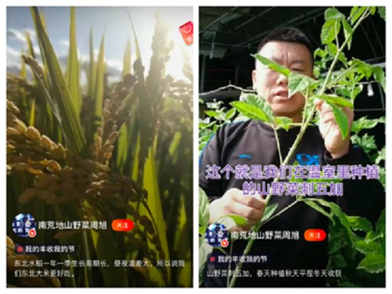 火山小視頻與吉林“致富合伙人”計(jì)劃收官 百位合伙人直播售賣家鄉(xiāng)農(nóng)產(chǎn)品