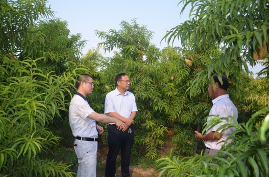 一年有一半的工作時(shí)間都在到處飛，他們?cè)谥\劃什么大事？