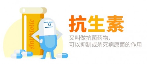 Life-Space益生菌要怎么吃，發(fā)揮大功效食用有講究