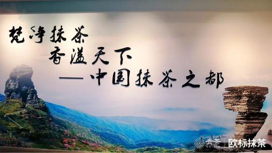 2019梵凈山抹茶大會：看歐標(biāo)抹茶如何香溢天下