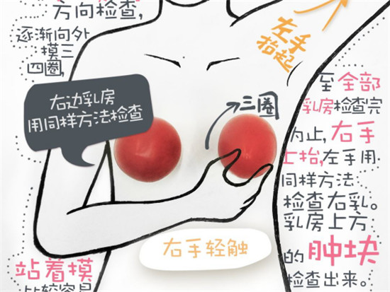 關(guān)愛乳房情系粉紅絲帶，劉燕釀制助力女性健康