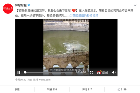 鏟屎官們注意了，萌寵又到了換毛季，家人的健康要時(shí)刻關(guān)注