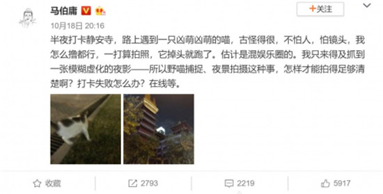 必看！教你旅游時讓鋼鐵直男從死亡視角逆襲成攝影黑馬！