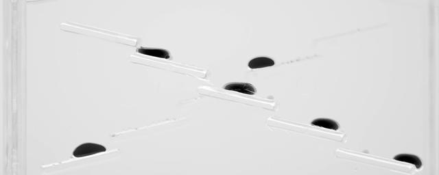 關于成分的黑白想象：HomeFacialPro煙酰胺原液廣告大片全新發(fā)布