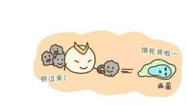 DR.HS澳洲赫醫(yī)生乳鐵蛋白：以匠心成就品質(zhì)，以有機助力成長