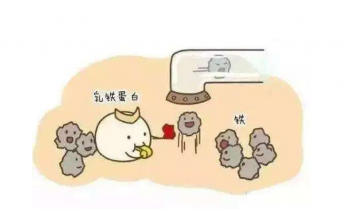 DR.HS澳洲赫醫(yī)生乳鐵蛋白：以匠心成就品質(zhì)，以有機助力成長