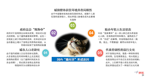 《2019中國寵物消費(fèi)趨勢(shì)報(bào)告》新鮮出爐，貓咪成年輕人標(biāo)配