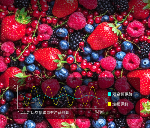 創(chuàng)維冰箱質量怎么樣？詮釋真正的性價比！