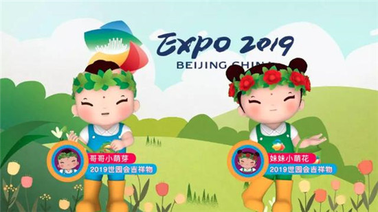 2019，相芯科技不得不說的那些事兒