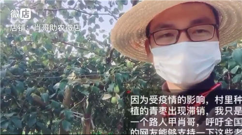 微店助力線下商家戰(zhàn)“疫”：重在簡單、快速、有效