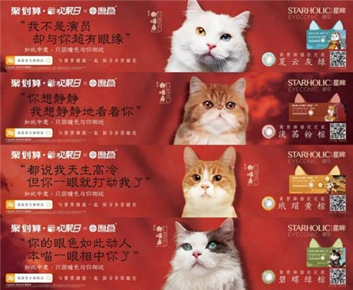 杭州碧橙三度蟬聯(lián)天貓六星，四招助力品牌數(shù)字化升級(jí)