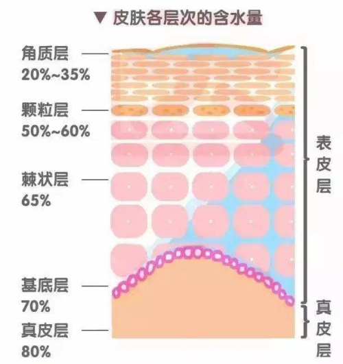 干皮如何補(bǔ)水？正確補(bǔ)水方式讓你度過干燥春季