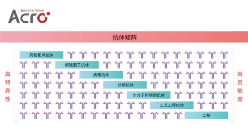 ACROBiosystems百普賽斯抗體矩陣再添新IFN-γ，助力加速生物藥研發(fā)上市進程