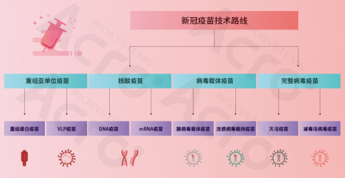 ACROBiosystems百普賽斯攜整體解決方案出席創(chuàng)新峰會，助力加速疫苗研發(fā)上市進程