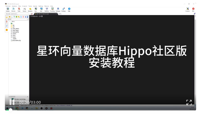 星環(huán)科技向量數(shù)據(jù)庫Hippo社區(qū)版來啦：極簡資源、極速安裝，大模型場景DIY快速體驗！