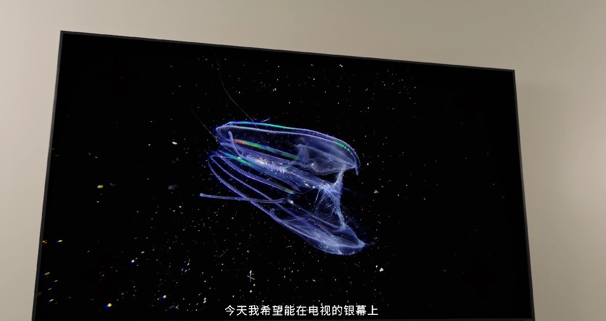 海信電視聯(lián)合8KRAW攝影師，講述好畫質(zhì)的生命力
