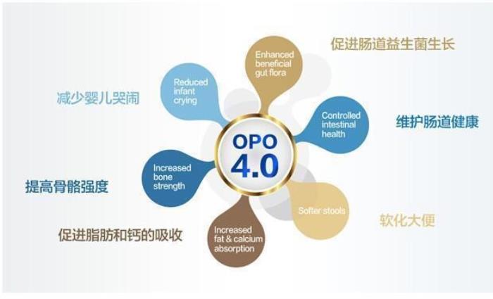 OPO在奶粉中的作用與功效有哪些？精準(zhǔn)科普助力選奶