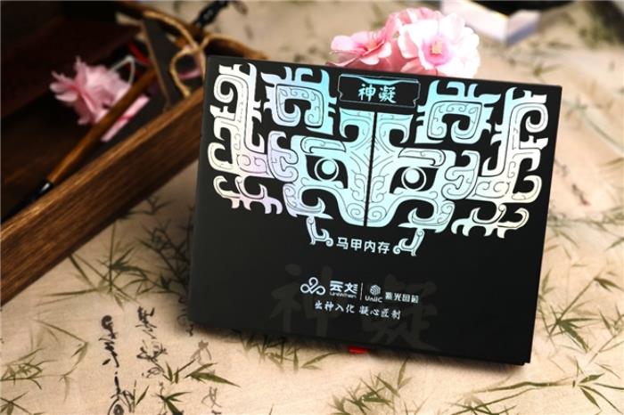 開箱評測丨銳龍7 9700X絕佳拍檔，神凝系列6000 CL28國風內(nèi)存評測