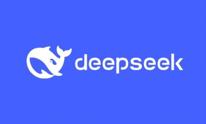 Deepseek算卦DIC 2025，今年“巳”個(gè)好年