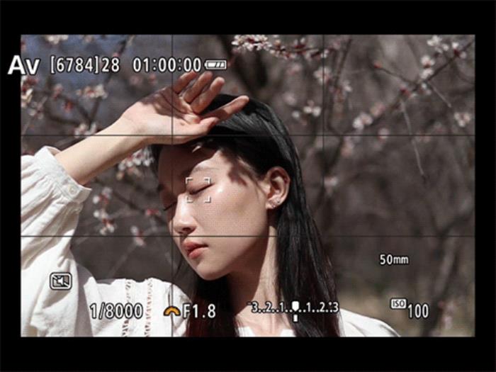 佳能EOS R50春日桃花人像實拍體驗