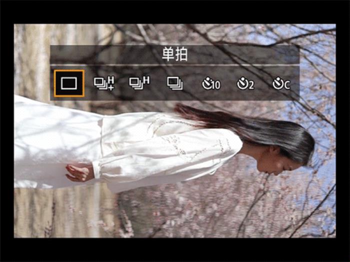 佳能EOS R50春日桃花人像實拍體驗