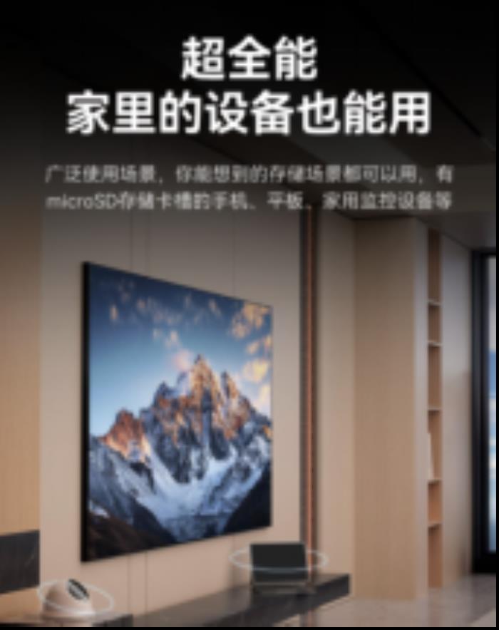 雷克沙推出Professional SILVER PLUS microSD存儲(chǔ)卡，滿足多種設(shè)備需求