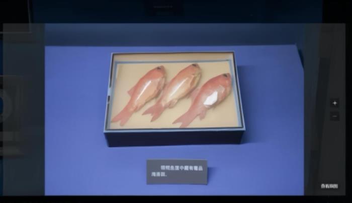 如視x上海公安博物館：觀數(shù)字博物館，探公安輝煌史