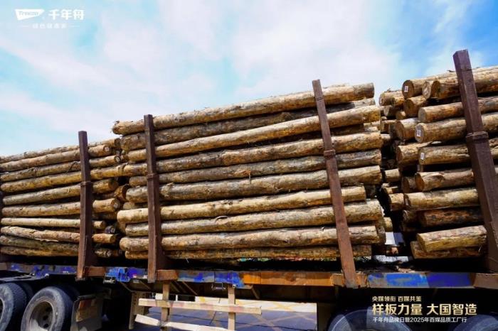 樣板力量·大國(guó)智造丨2025千年舟品牌日「百媒工廠行」，共探智能制造價(jià)值標(biāo)桿