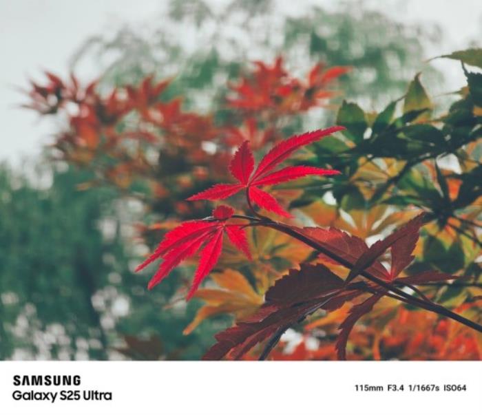 從超廣角風(fēng)光到遠(yuǎn)景特寫 三星Galaxy S25 Ultra一機(jī)掌握全視野