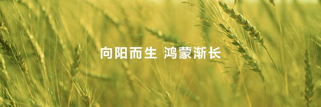 HDC 2025現(xiàn)場重磅發(fā)布華為在下一個(gè)操作系統(tǒng)時(shí)代的棋