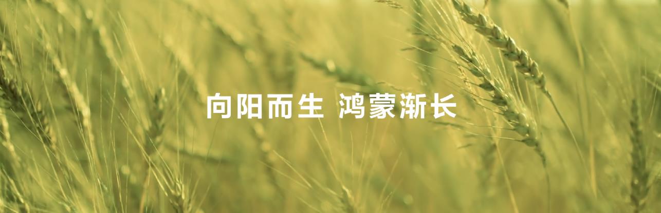 鴻蒙系統(tǒng)級AI賦能，華為閱讀不斷拓展數(shù)字閱讀邊界