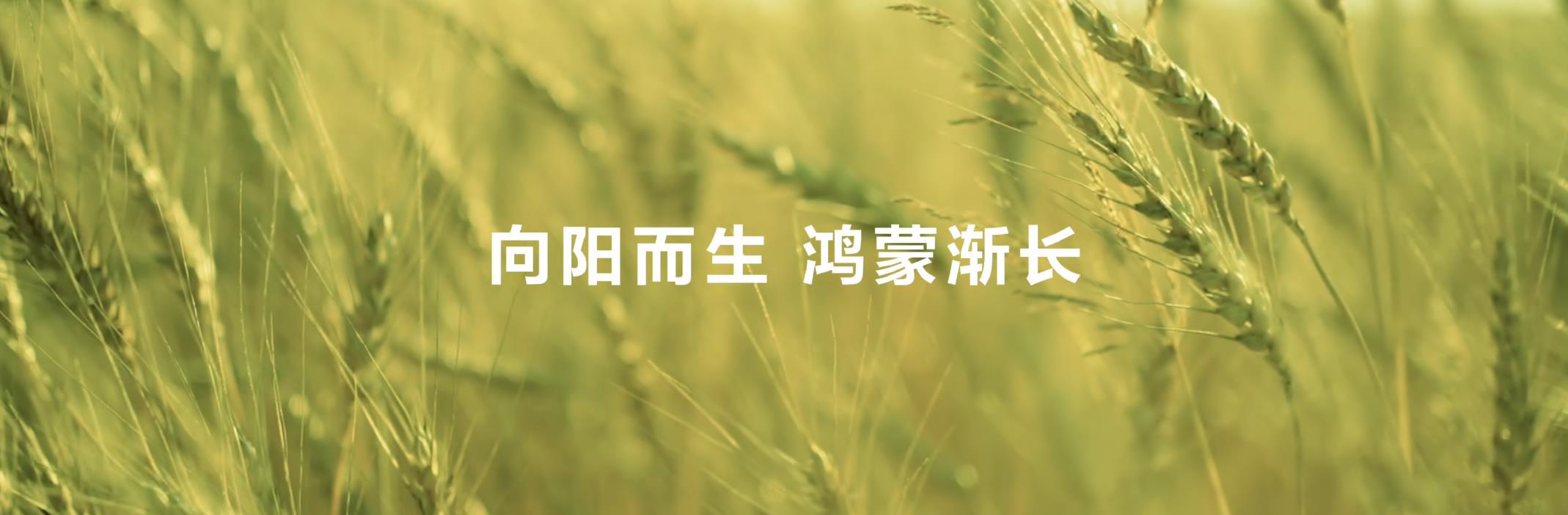 從“被動響應”到“主動服務”，鴻蒙正在煥新消費者智能生活體驗