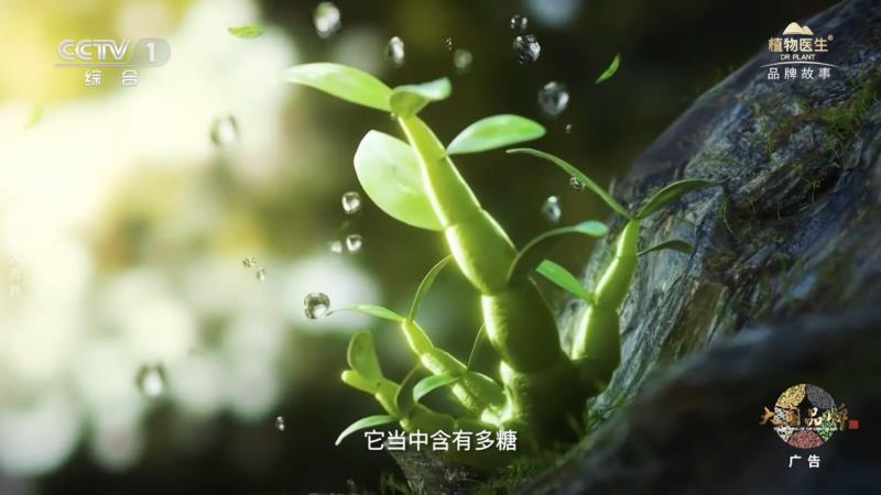 當民族智慧對話央視鏡頭，植物醫(yī)生以中國成分“破壁”敘事